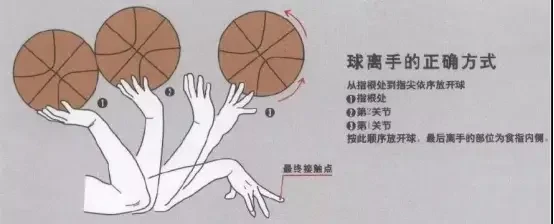 篮球训练专业术语英语怎么说呢_2
